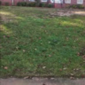 Meet your Posher, Sherrod